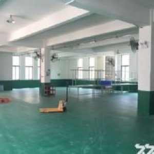 独门独院全新厂房，最低2成首付，有50年产权，无强制税收(非