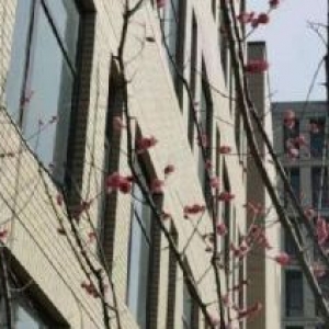 （出售）金华义乌市中心层高超7M高标准厂房出售，户型方正，火