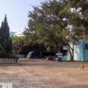 塘厦高速路口 14元每平方 独院厂房