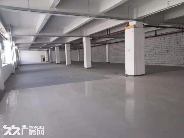 龙华大浪楼上整层2044平原房东工业厂房出租-图3