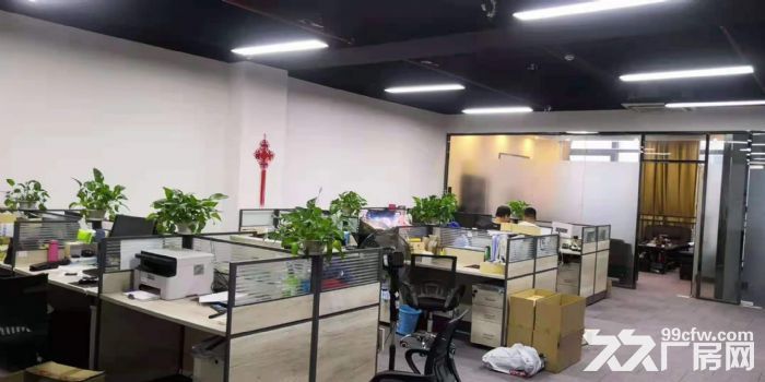 龙华大浪服装基地新出350精装写字楼出租-图3