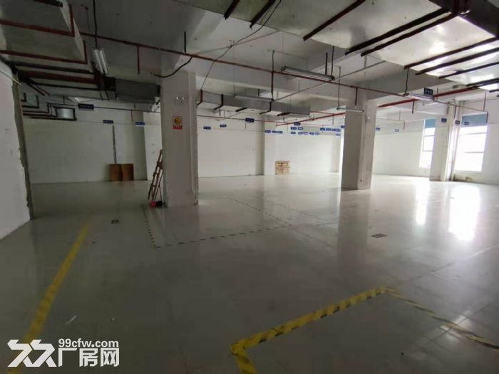 超高性价比！！！龙华区大浪商业街附近新出690平精装厂房