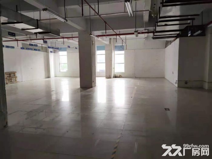 超高性价比！！！龙华区大浪商业街附近新出690平精装厂房-图3
