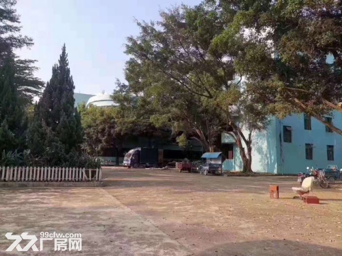 塘厦高速路口 14元每平方 独院厂房仓库出租3万平方 可分租