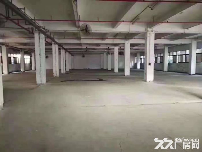 塘厦高速路口 14元每平方 独院厂房仓库出租3万平方 可分租-图4