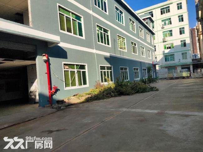 龙华清湖独门独院厂房小独栋3500平厂房出租，面积可分租
