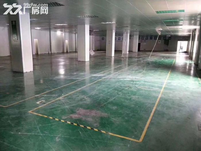 坪山碧岭工业区新出2楼900平 带装修出租 公摊小-图4
