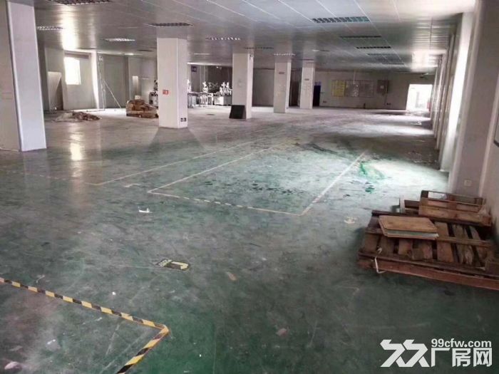 坪山碧岭工业区新出2楼900平 带装修出租 公摊小-图5