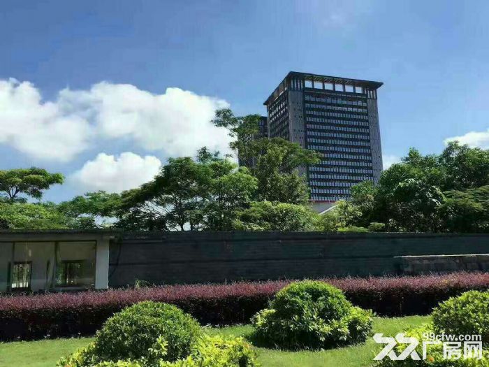 龙岗中心城办公电商厂房1500平米出租
