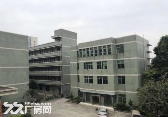 横岗龙岗大道边村委独院招租8000平米带装修