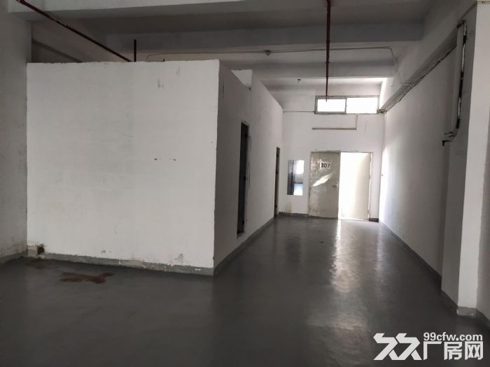 龙岗区南湾街道上李朗方鑫路莱茵工业区厂房出租-图5