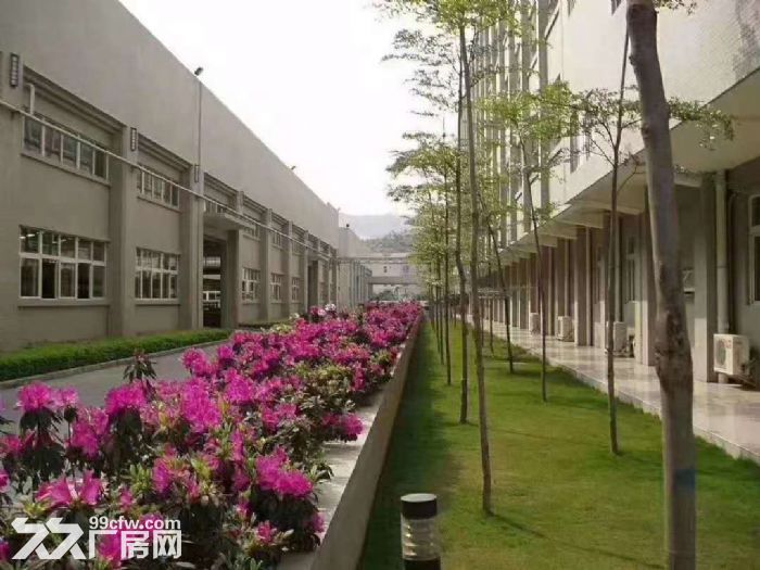 公明新出原房东钢构10000平方出租