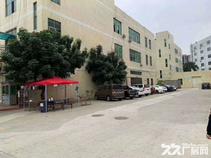龙岗龙西独门独院新装厂房招租
