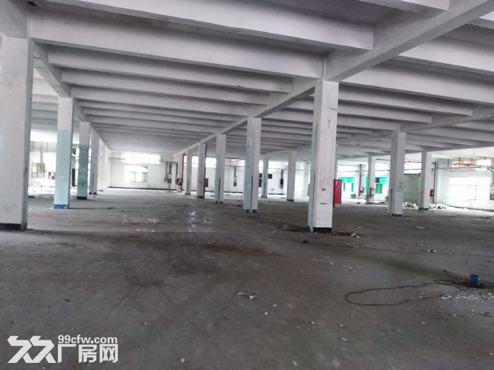 高新厂房，宝安独院厂房9000平米出租