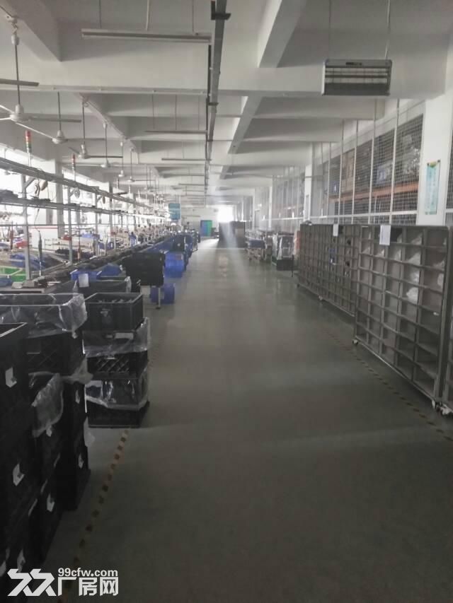 龙岗五联新出1500平豪华装修厂房出租