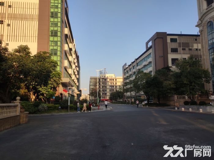 龙华大浪高新产业园1914平精装厂房出租