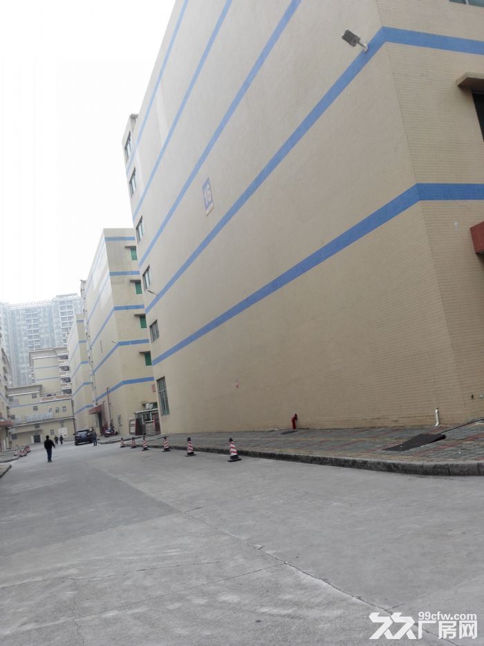 深圳沙井独院厂房8000平米出租精装修