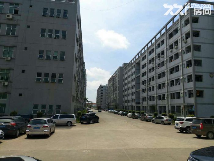 观澜超大空地1至5楼厂房招租（可分租）