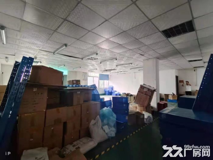 龙华清湖原房东楼上1300平厂房出租-图2